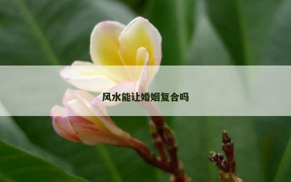 風水能讓婚姻復合嗎
