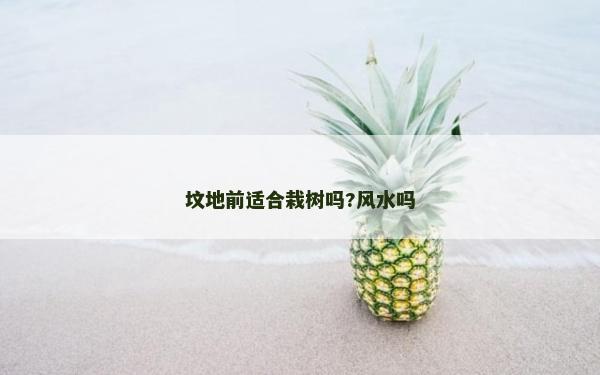 墳地前適合栽樹嗎?風水嗎
