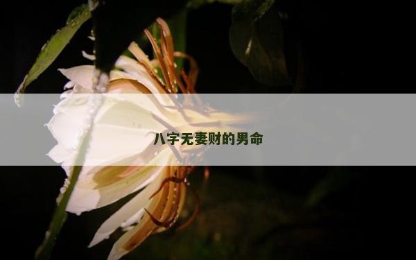 八字無妻財的男命