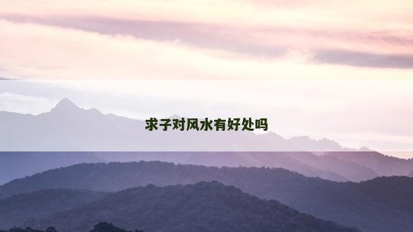 求子對風水有好處嗎