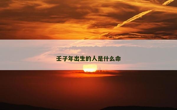 壬子年出生的人是什么命