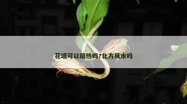 花墻可以隔熱嗎?北方風水嗎