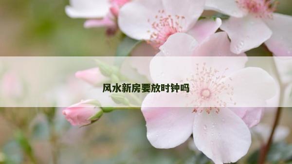 風(fēng)水新房要放時鐘嗎