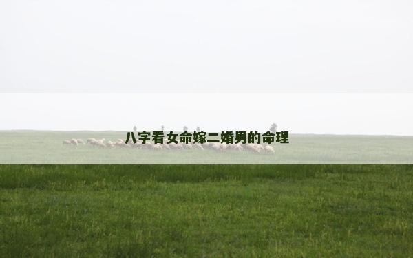 八字看女命嫁二婚男的命理 八字看女命嫁二婚男的命理