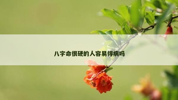 八字命很硬的人容易得病嗎
