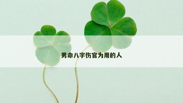 男命八字傷官為用的人