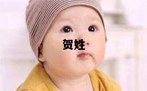 賀姓優(yōu)美大方的女寶寶名字