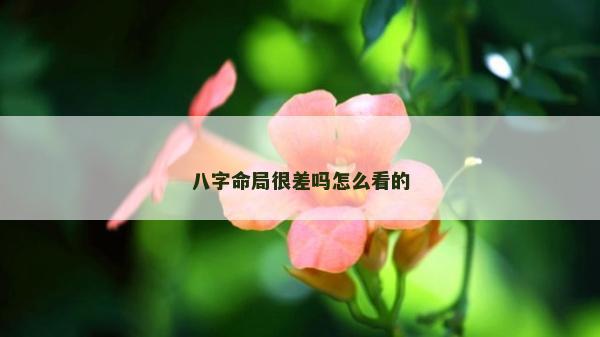 八字命局很差嗎怎么看的
