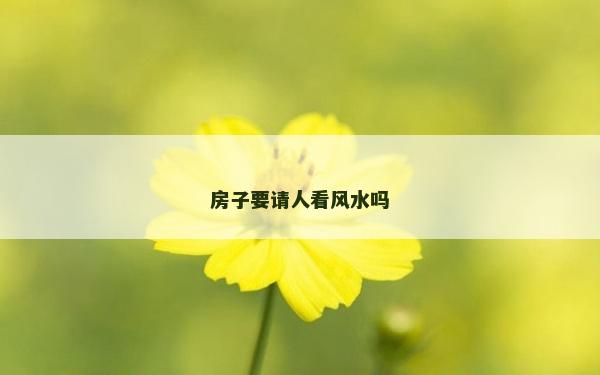 房子要請人看風水嗎