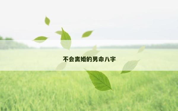 不會離婚的男命八字