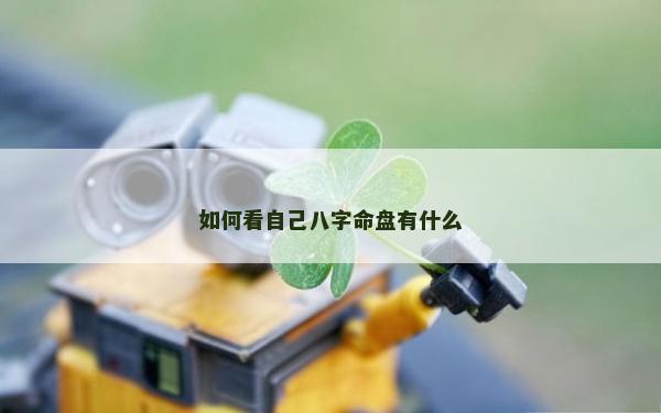 如何看自己八字命盤有什么
