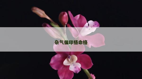 雜氣偏印格命格