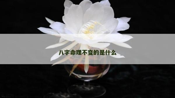 八字命理不變的是什么