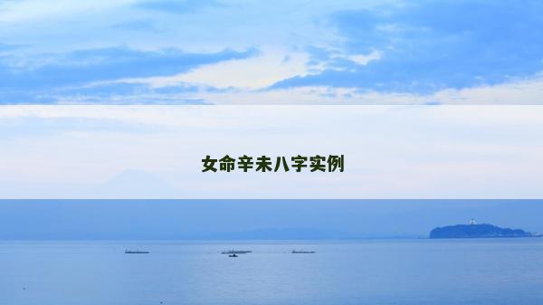 女命辛未八字實例