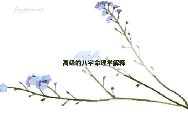 高級的八字命理學解釋