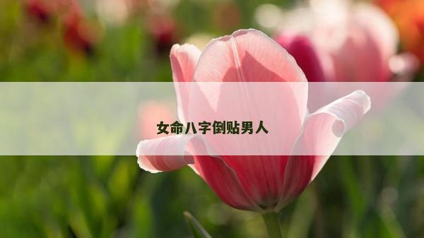 女命八字倒貼男人