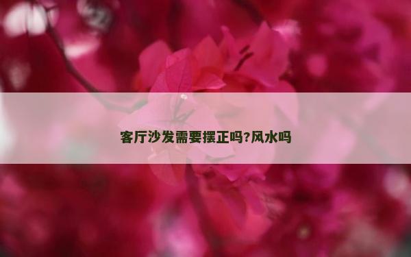客廳沙發需要擺正嗎?風水嗎