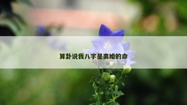 算卦說我八字是離婚的命