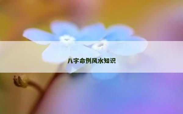八字命例風水知識