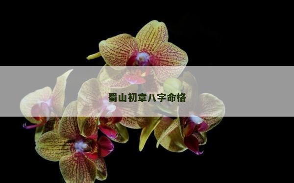 蜀山初章八字命格