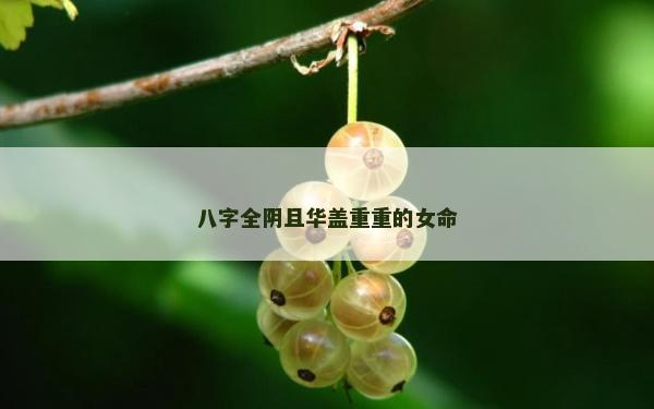 八字全陰且華蓋重重的女命 八字全陰且華蓋重重的女命