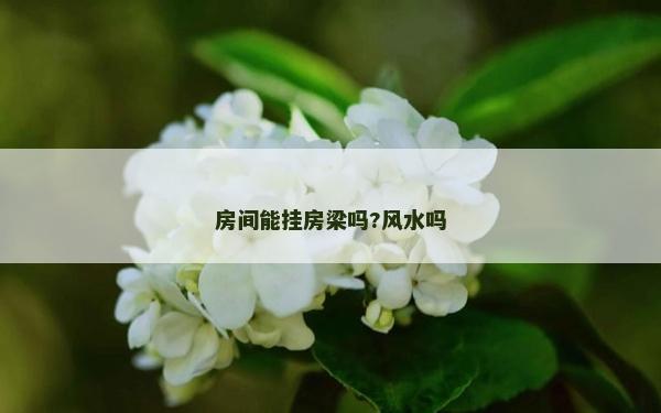 房間能掛房梁嗎?風水嗎