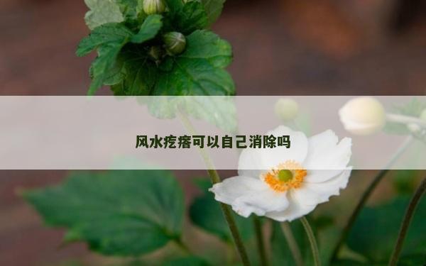 風水疙瘩可以自己消除嗎