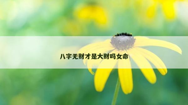 八字無財才是大財嗎女命