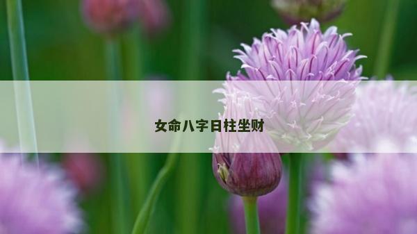 女命八字日柱坐財