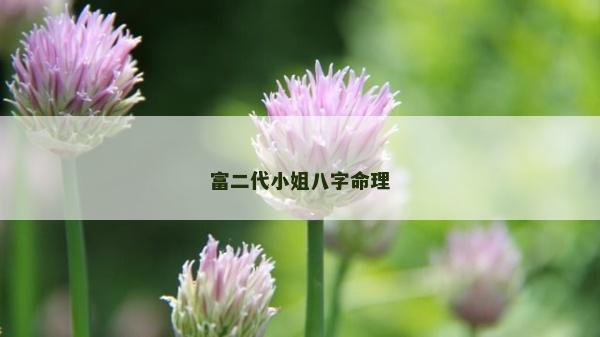 富二代小姐八字命理