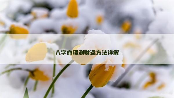 八字命理測財運方法詳解