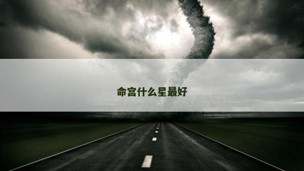 命宮什么星最好