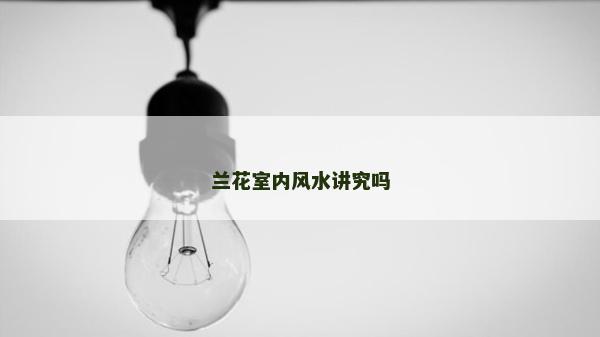 蘭花室內風水講究嗎