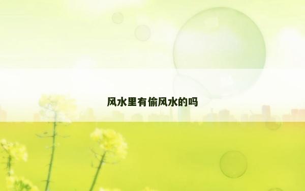 風(fēng)水里有偷風(fēng)水的嗎