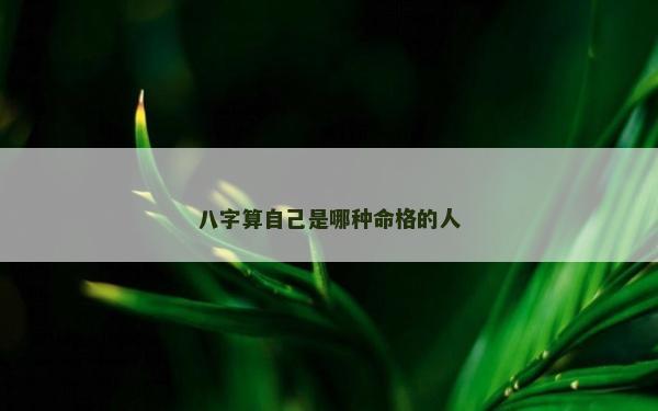 八字算自己是哪種命格的人