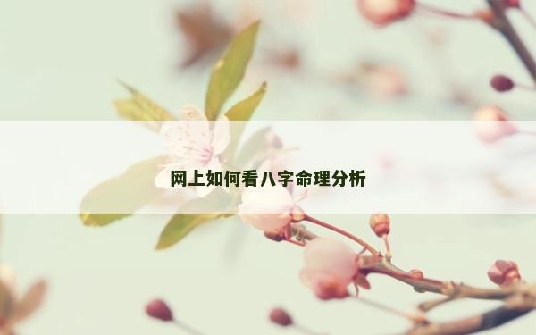 網(wǎng)上如何看八字命理分析
