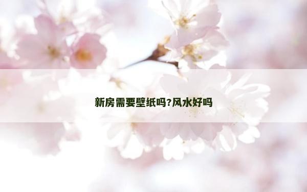 新房需要壁紙嗎?風水好嗎
