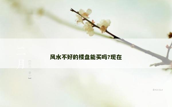 風水不好的樓盤能買嗎?現在