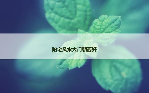 陽宅風水大門朝西好