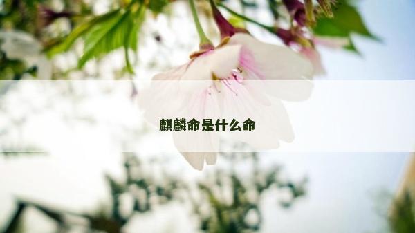 麒麟命是什么命 麒麟命是什么命