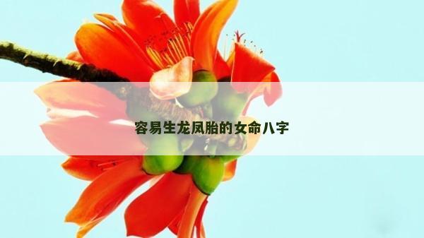 容易生龍鳳胎的女命八字