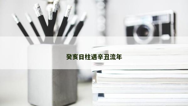 癸亥日柱遇辛丑流年
