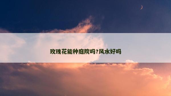 玫瑰花能種庭院嗎?風(fēng)水好嗎 玫瑰花能種庭院嗎?風(fēng)水好嗎
