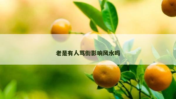 老是有人罵街影響風(fēng)水嗎