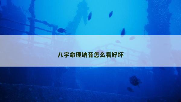 八字命理納音怎么看好壞