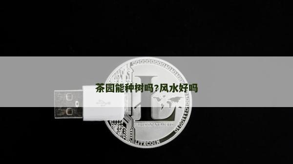 茶園能種樹(shù)嗎?風(fēng)水好嗎
