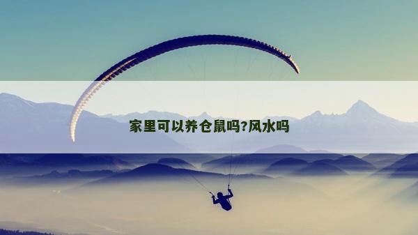 家里可以養倉鼠嗎?風水嗎