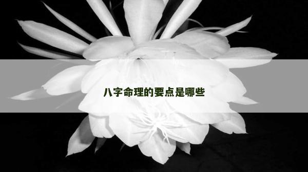 八字命理的要點是哪些