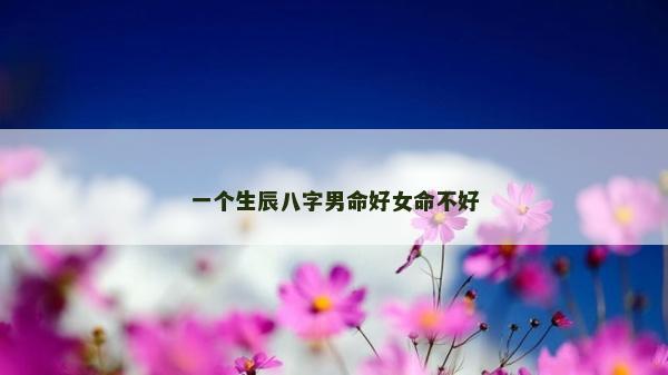 一個生辰八字男命好女命不好