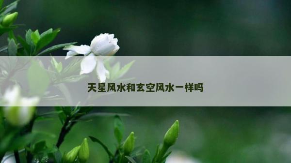 天星風水和玄空風水一樣嗎